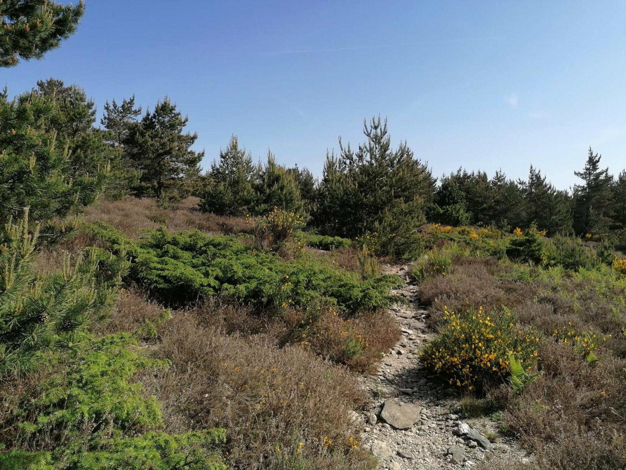 Cote Nature